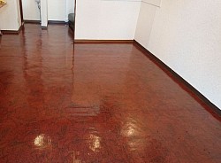 CF床洗浄 after(ワックス有り)