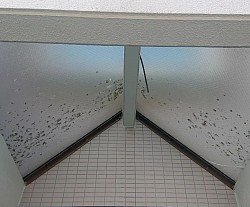 ガラス洗浄 before